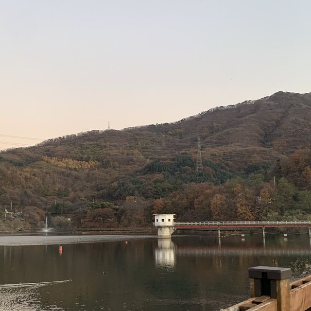 자연의 아름다움을 느끼며 걷기 좋은 파주 마장호수 