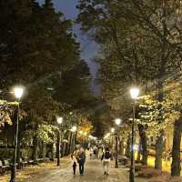 oslo walking street at night light