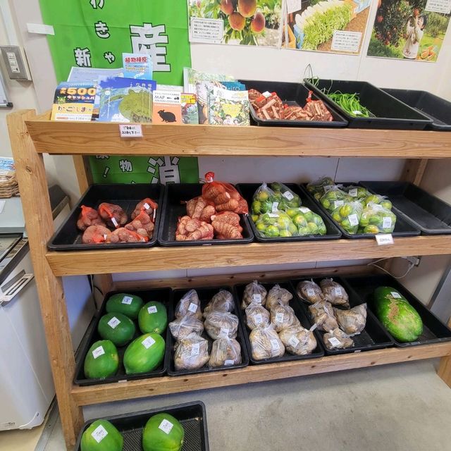 【奄美大島】直売所