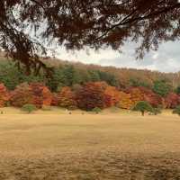 청주의 단풍 명소 청남대🍁
