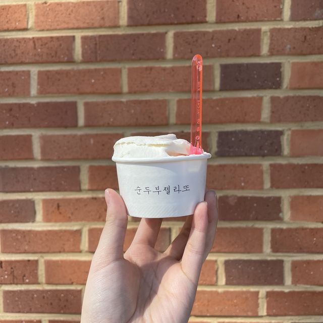 두부로 만든 아이스크림❓강릉 순두부 젤라또🍦