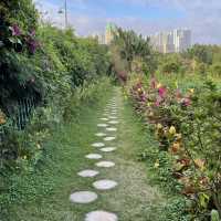 Macau Wetland of  Beach Avenue, Taipa