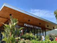 PRONTO COFFEE 