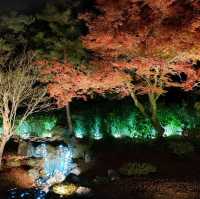 嵐山宝厳院ライトアップ