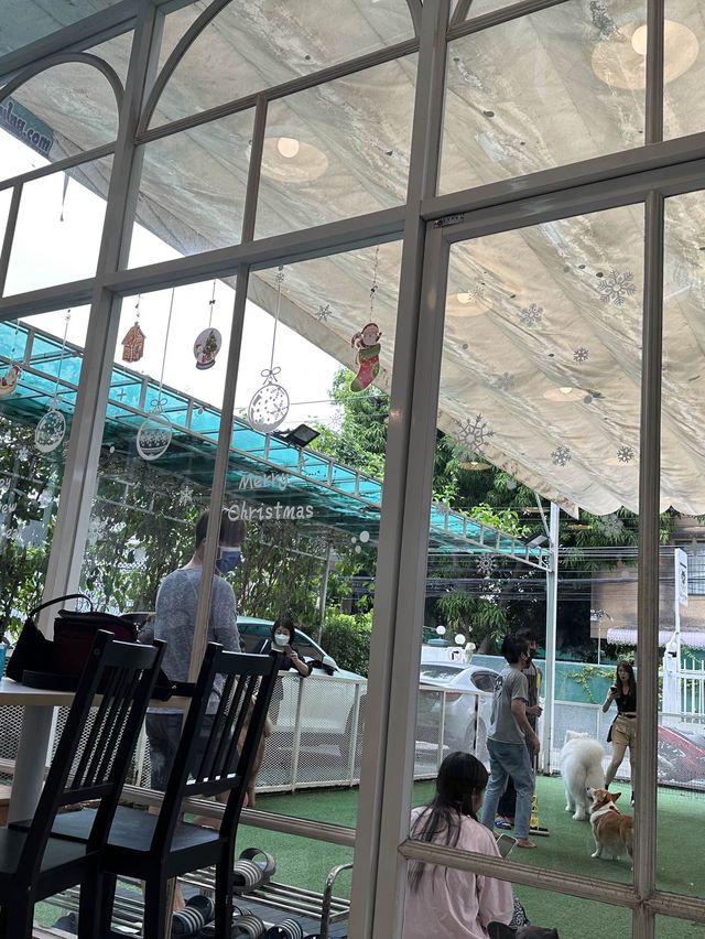 🇹🇭曼谷 狗狗cafe 一大堆狗狗圍住你轉🐶