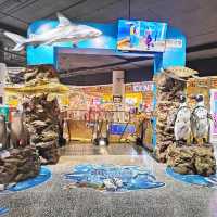 Aquaria Phuket 