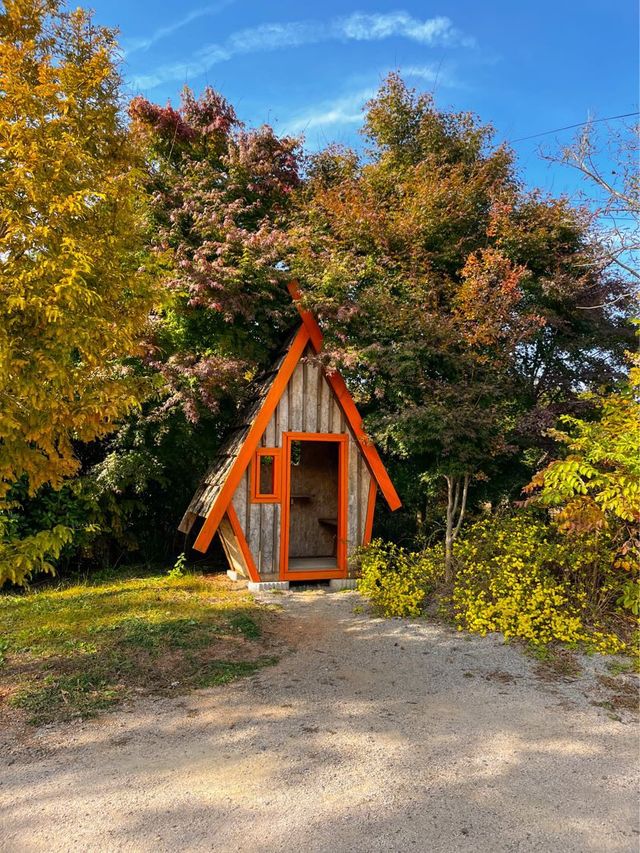 팜파스와 핑크뮬리를 한번에! 청산수목원🌾🌷