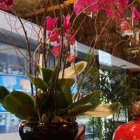 《港女打卡必去 staycation熱點：香港文華東方酒店》