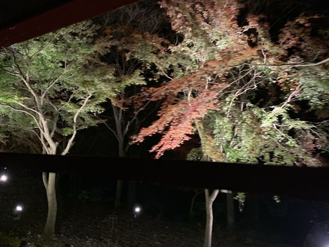 嵯峨野觀光小火車