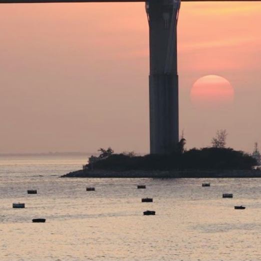 汀九村打卡一流