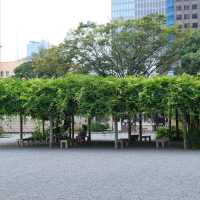 旧芝離宮恩賜庭園の藤棚