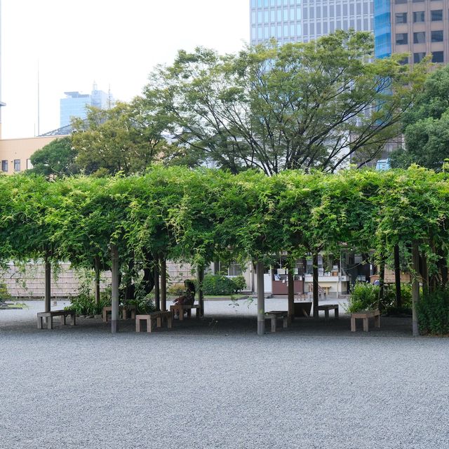 旧芝離宮恩賜庭園の藤棚