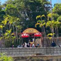 鬧市中的公園 — 九龍公園