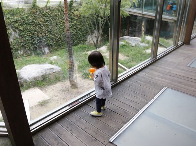 대전 오월드 동물도 보고 놀이기구도 타고