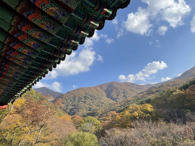 드라이브와 산책 둘 다 잡을 수 있었던 가족나들이, 밀양 표충사