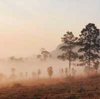 ธรรมชาติรังสรรค์ ภาพสวยงาม