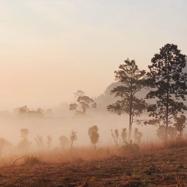 ธรรมชาติรังสรรค์ ภาพสวยงาม