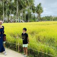 kampung agong, penaga