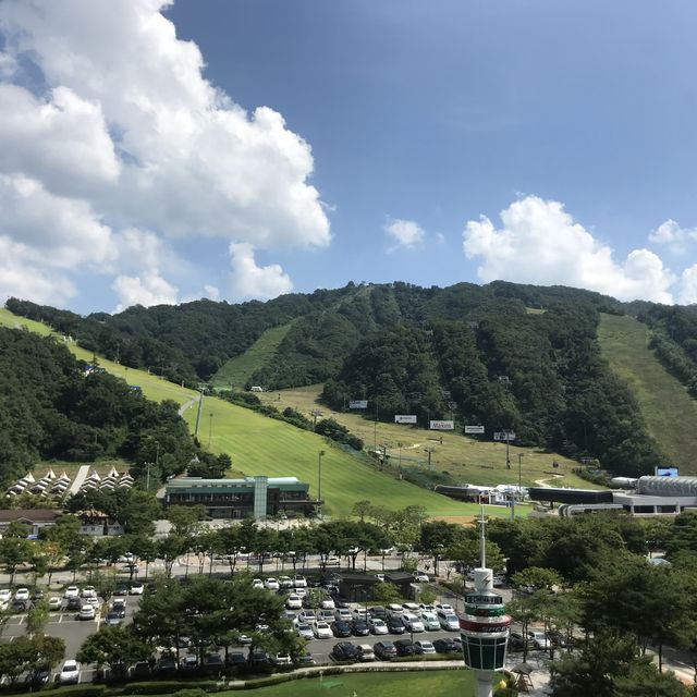 여름에만 열리는 놀이공원! 비발디파크 오션월드 🤿