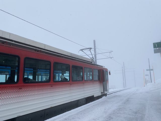 瑞士雪山遊攻略🇨🇭