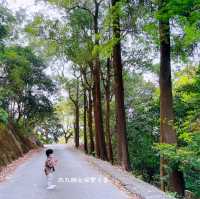 【假子親子遊】春天篇地木棉花～