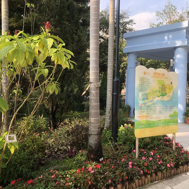 🌲荃灣後花園🌹尋找復活兔🐰