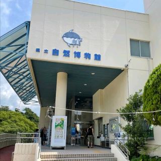 Aquarium