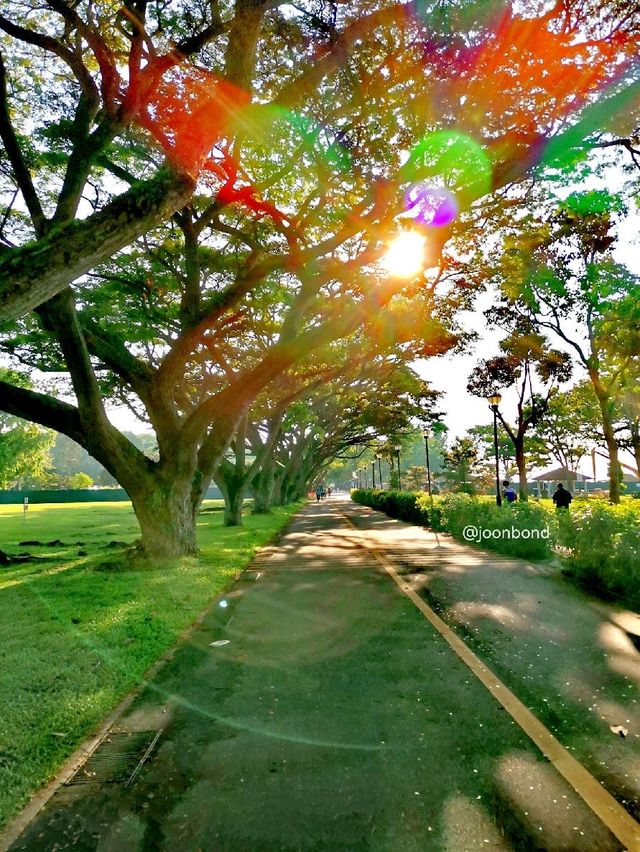 Morning Cycling @East Coast Beach Park