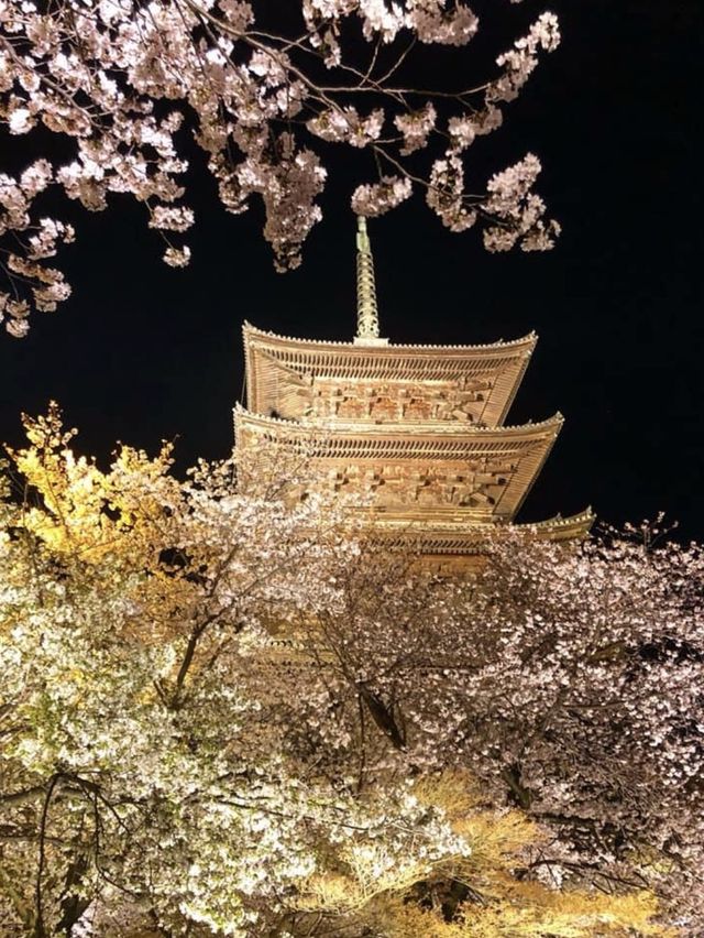 京都で紅葉や桜を見るなら東寺