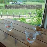 【北海道】スリル満点！？なエサやり体験