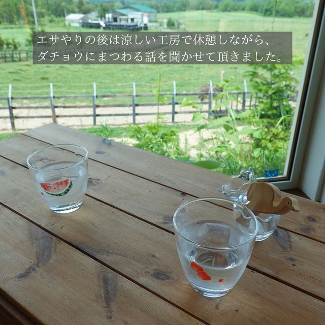 【北海道】スリル満点！？なエサやり体験