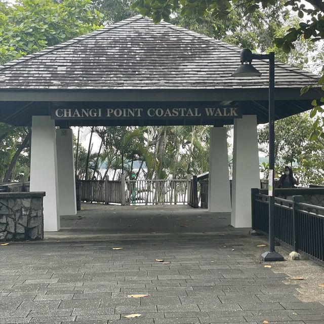 changi point coastal walk hike