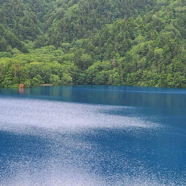 【長野】志賀高原の中の神秘的な群青の池【大沼池】
