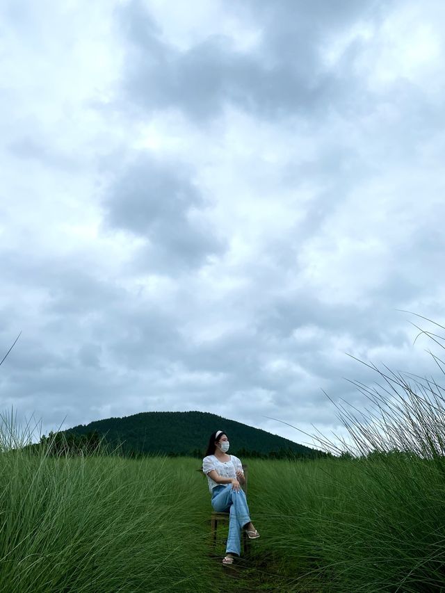 사계절 내내 꽃을 볼 수 있는 바람 부는 밭 • 제주 보롬왓