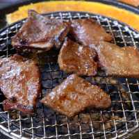 食肉獸的大餐