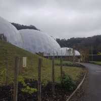 Eden Project