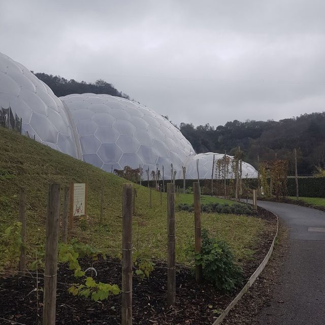 Eden Project