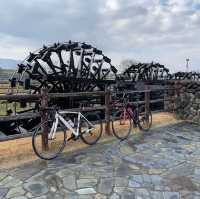 自転車で巡る福岡
