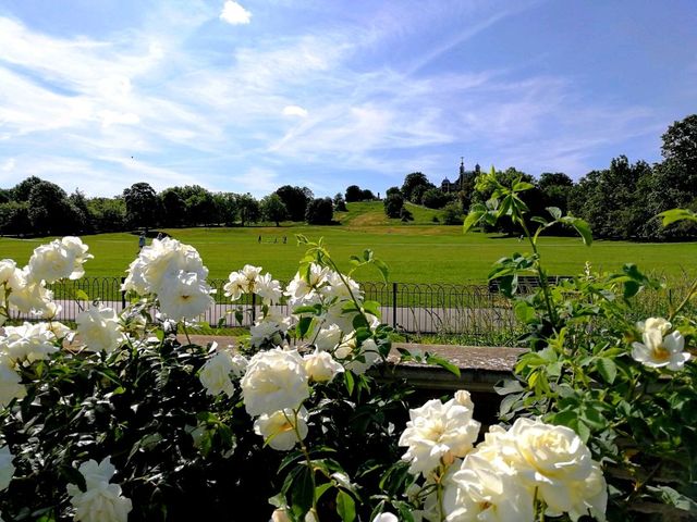 A wonderful day in Greenwich Park