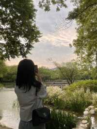 서울에서 자연을 눈에 담을 수 있는 ‘서울숲’ 🌳🌷✨