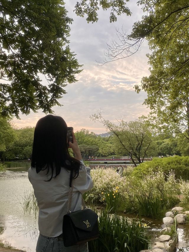 서울에서 자연을 눈에 담을 수 있는 ‘서울숲’ 🌳🌷✨