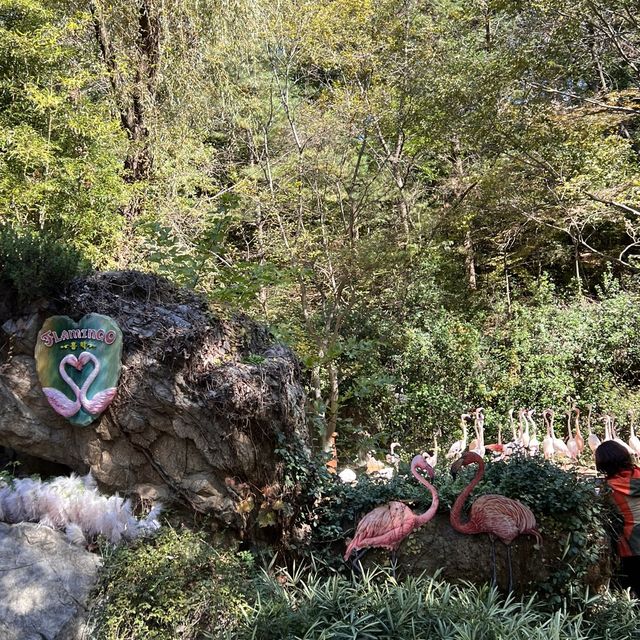 韓国【エバーランド】紅葉とハロウィンが楽しめる動物園🧡