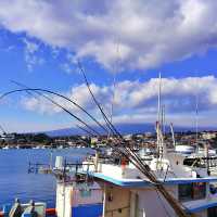 ⛴️ 한라산을 바라볼 수 있는 항구, 위미항