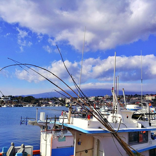 ⛴️ 한라산을 바라볼 수 있는 항구, 위미항