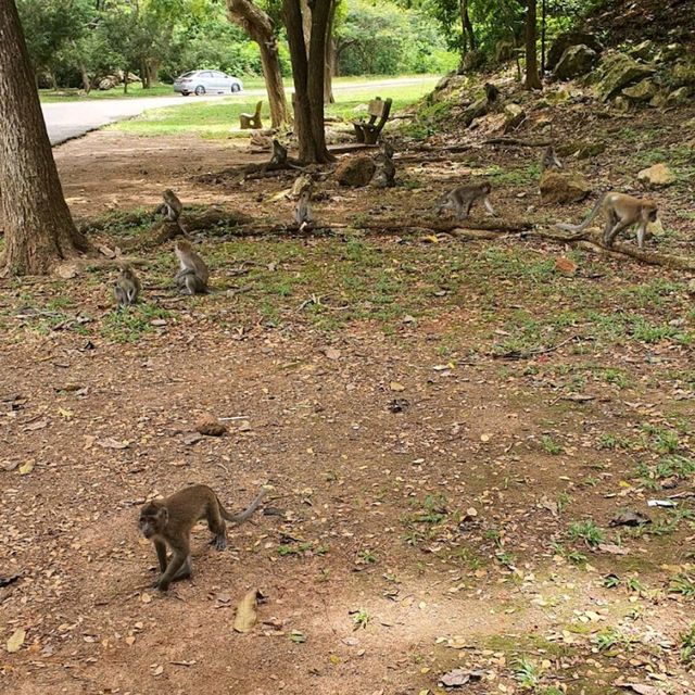 Mount Keriang Recreational Park 