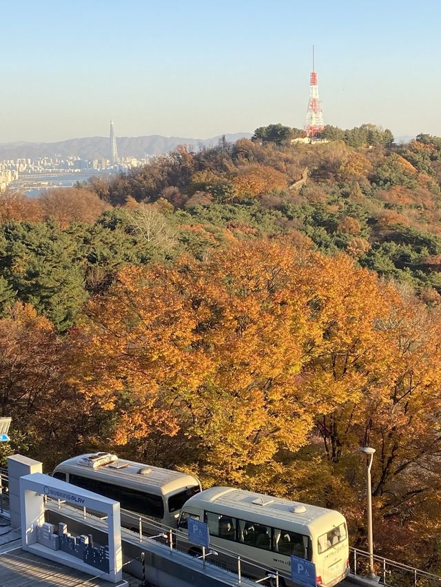 멀리갈 필요가 어디있나요? 서울 N타워에서 단풍 구경하면 되죠🍁