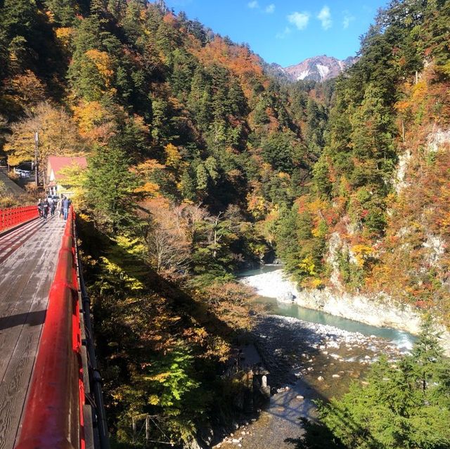 楓葉絕景