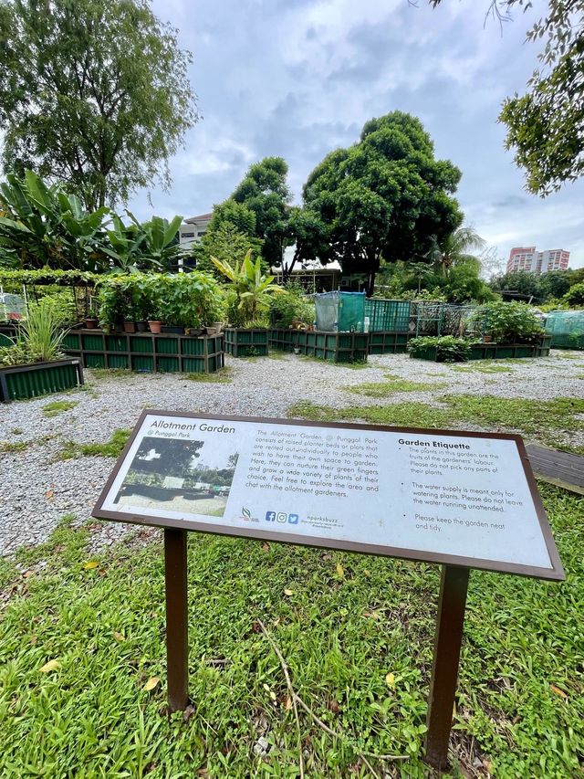 Allotment Garden @ Punggol Park