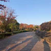 ✨四季の郷公園✨　道の駅