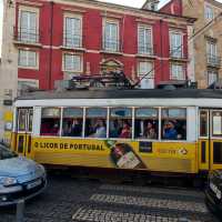 Tram 28 and Cards